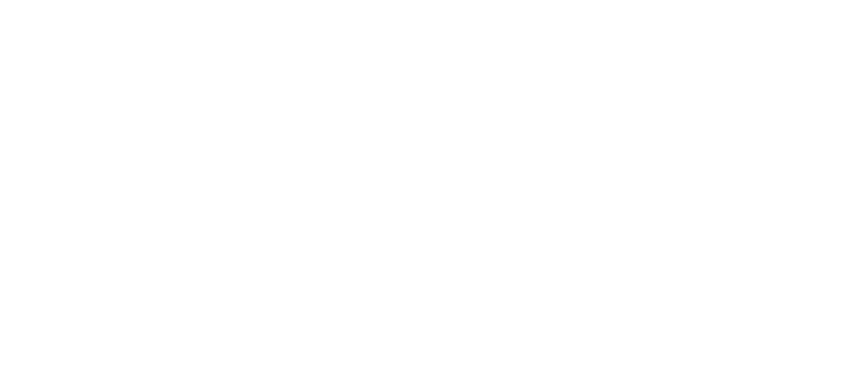 回国 - 海龟伴侣